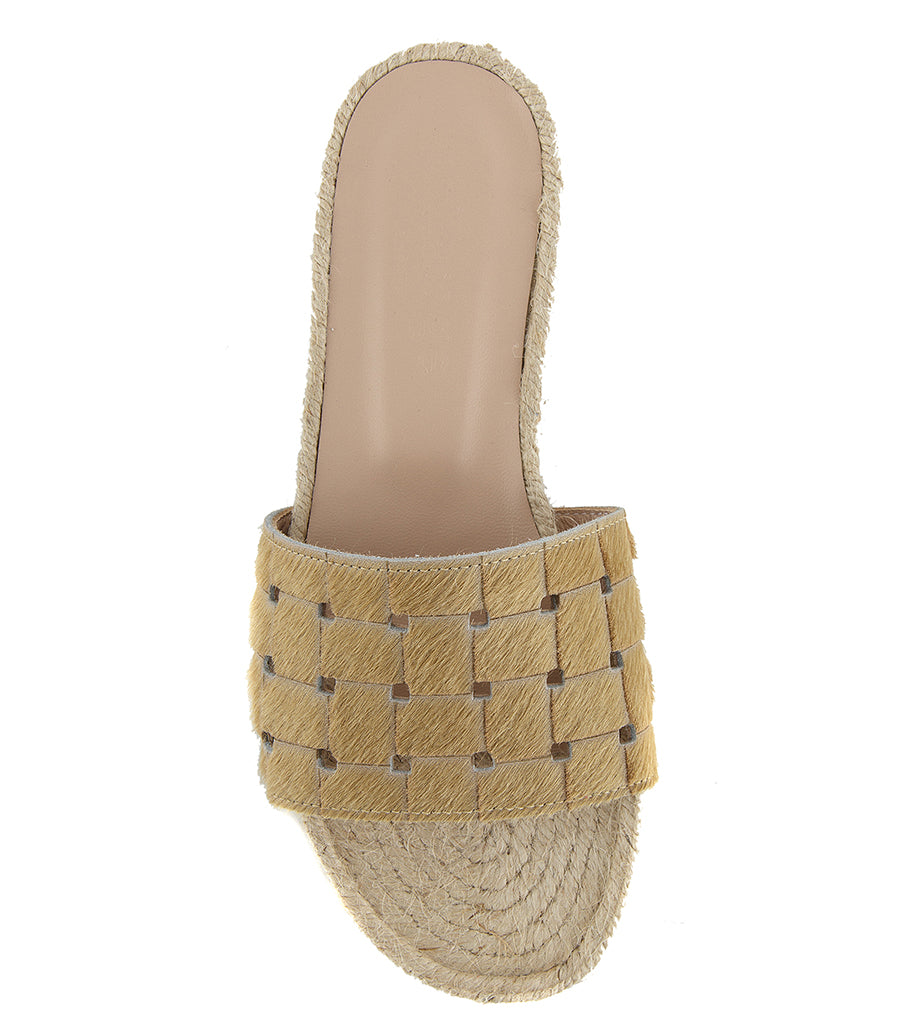 ALEXANDER BEIGE