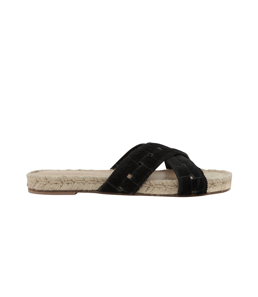 APOLLO BLACK